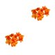 thumbnail image 1 of Moyic 10 unids/set decoración de fiesta flores artificiales para ambiente festivo decoración de boda decoración del hogar naranja naranja 2Conjunto, 1 of 6
