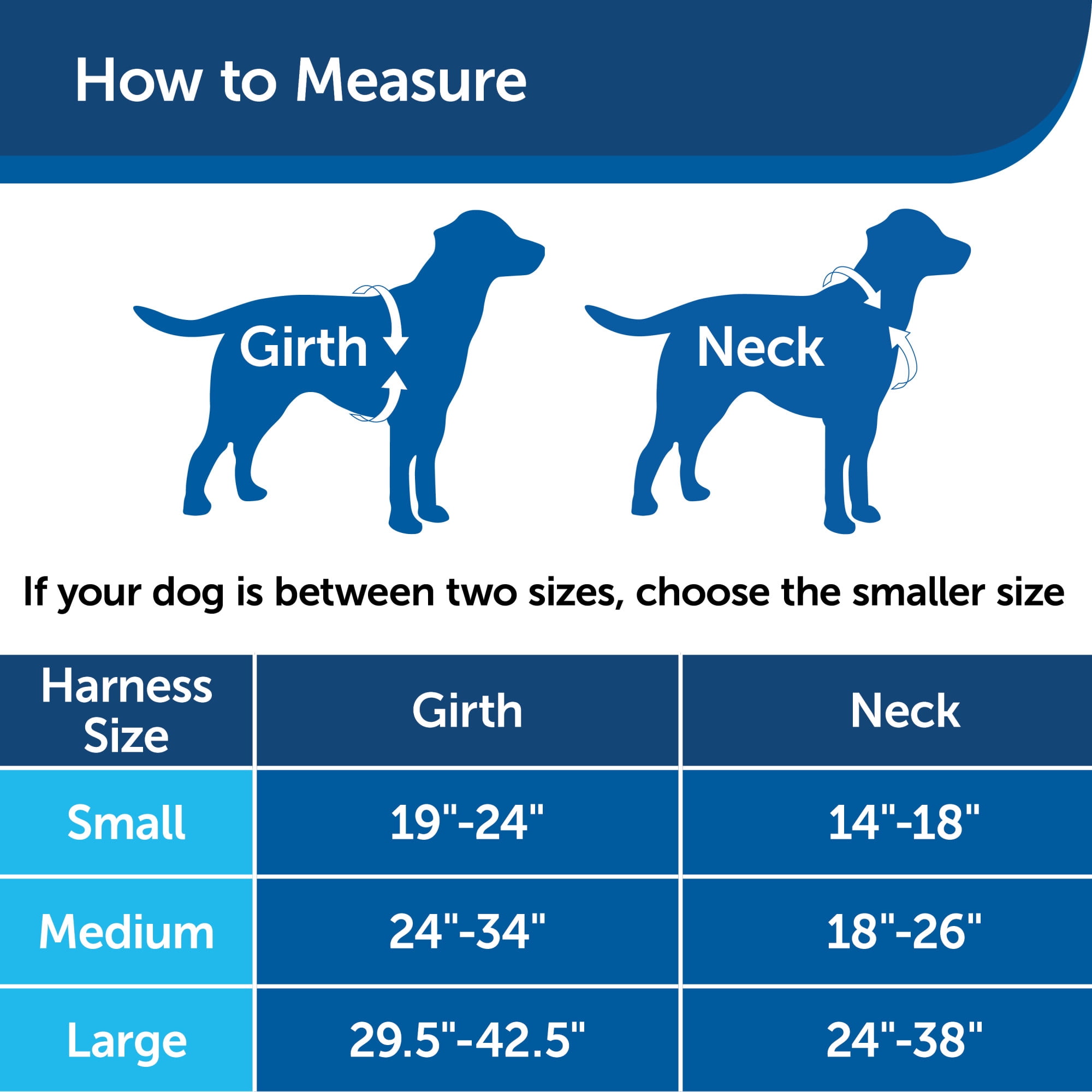 PetSafe® 3 in 1 Harness with Two Point Control Leash, Medium, Black
