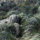 thumbnail image 3 of 4PCS Suit Hunt Camouflage Woodland 3D Ghillie Bionic Training Bowhunt Ghillie, 3 of 5