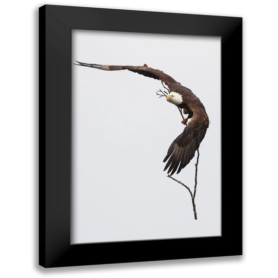 Huang, Tao 11x14 Black Modern Framed Museum Art Print Titled - Builder 03