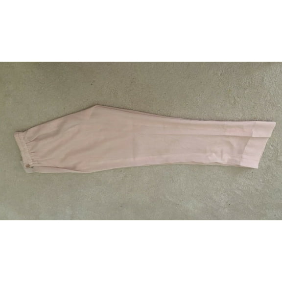 Designer Boutique Trouser Pants Pakistani Indian S Washable Georgette Pink Small New