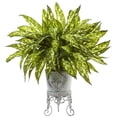 thumbnail image 1 of Aglaonema avec Jardinière en Métal, 1 of 1