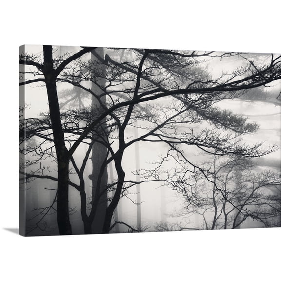 Great BIG Canvas | "Trees and Fog in the Yellow Mountains, Huangshan, China" Canvas Wall Art - 24x16