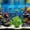 Green, variant on Clearance Under $3 Plastic Aquarium Plant Plastic Water Grass For Aquarium Tank Landscape,Plastic Red (1Pc)
