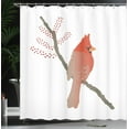 thumbnail image 3 of Ambesonne Cardinal Shower Curtain, Bird on Branch Plain Back, 69"Wx84"L, Burnt Orange and Sepia, 3 of 4