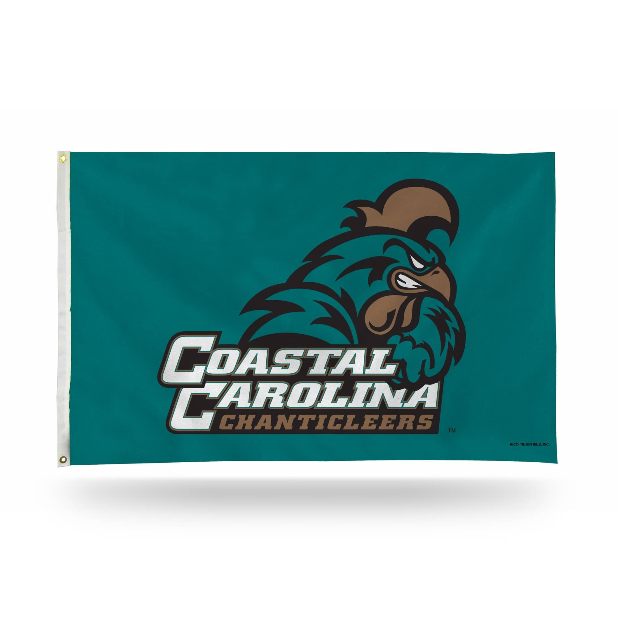 Rico Industries COASTAL CAROLINA BANNER FLAG - Walmart.com