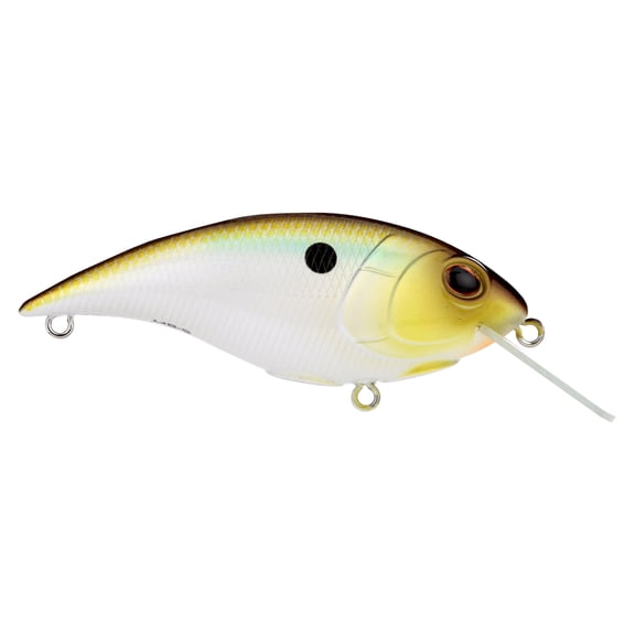 Shallow Money Badger Fishing Crankbait, 2.75 in, Tennessee Shad