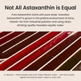 thumbnail image 5 of Nutrex Hawaii BioAstin Hawaiian Astaxanthin - Antioxidant Support for Skin and Immune Health - First-Class Microalgae Grown in Kona, Hawaii - Non-GMO and Gluten-Free - 4mg Dosage, 60 Softgels, 5 of 8