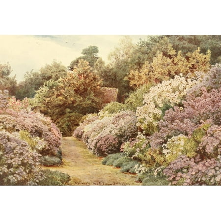 Gs Daisy - Posterazzi Some English Gardens 1904 Munstead Wood Daisies Canvas Art - GS Elgood (24 x 36)