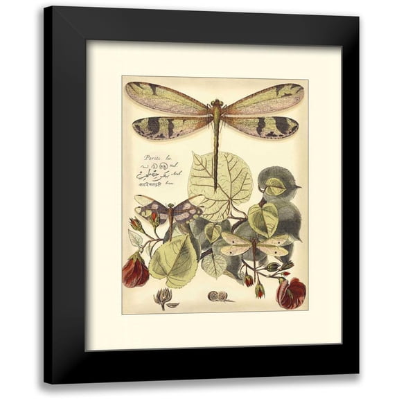 Vision Studio 12x14 Black Modern Framed Museum Art Print Titled - Whimsical Dragonflies II