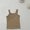 Coffee, variant on piuwrlz Summer Sleeveles Wide-StrapTank Tops Kids Girls Boys Lightweight Sports Vest T-Shirt Loose Round Neck Pullover Hot Pink Size 130