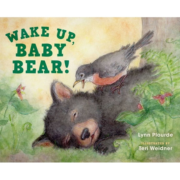 Wake Up, Baby Bear!, (Hardcover)