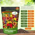 thumbnail image 6 of Outsidepride Texas/Oklahoma Wildflower Seed Mix - 1 LB, 6 of 8