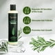 thumbnail image 5 of Champú Tgideas Organic Rosemary para crecimiento del cabello, 220 ml, para mujeres y hombres, 5 of 9
