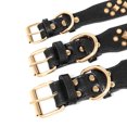 thumbnail image 4 of Fashion Rivet Studded Dog Collar Soft PU Leather Adjustable for Medium Large Breeds, 4 of 7