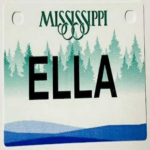 Ella Mini Bike Plate Add On Accessory