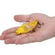 thumbnail image 4 of CEBO DE PESCA CON FORMA BIÓNICA, Señuelo DURO PARES CEBO DE PESCA CON FORMA DE CIGARRA BIÓNICA Señuelo Señuelos Señuelos De PESCA BIODICOS CON GIRATORIOS Hélice, 4 of 7
