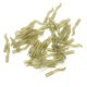 thumbnail image 2 of Manguera de traje de línea de mordida manguera duradera para pesca de carpas Gel de sílice resistente al desgaste para pescar ANGGREK Otros, 2 of 8