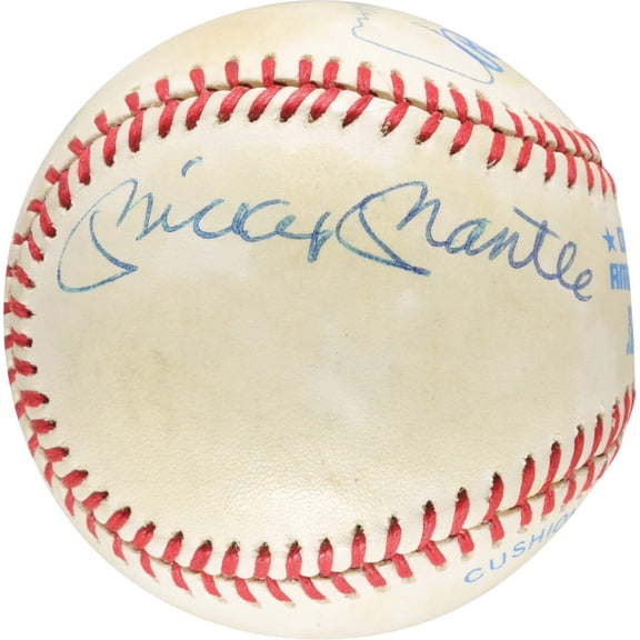 Mickey Mantle Ted Williams Carl Yastrzemski Triple Crown Signed Baseball PSA DNA