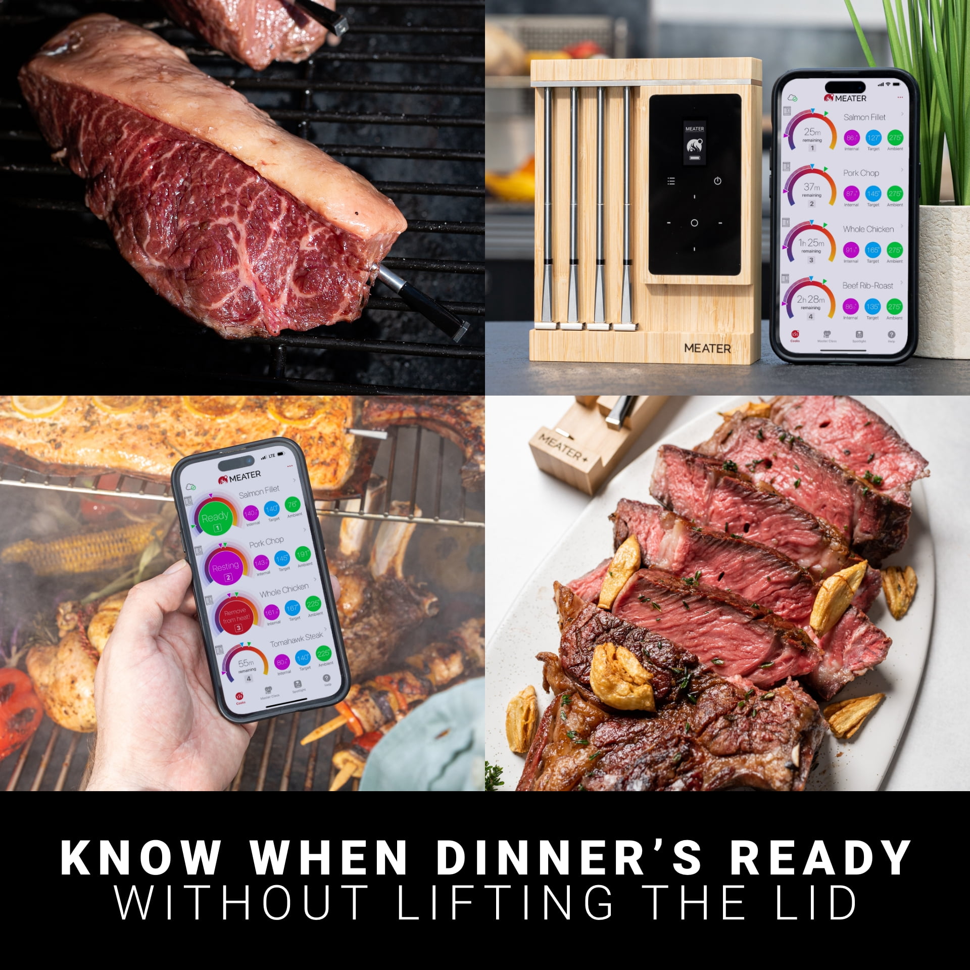 MEATER Pro XL: Bluetooth & WiFi Smart Meat Thermometer | 4 Multi-Sensor Probes | 1000°F Heat Resistance | Certified Accuracy for BBQ, Oven, Grill, Smoker, Air Fryer, Deep Fryer, Sous Vide