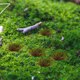 thumbnail image 4 of UPOUART Simulated Grass Para De Dioramas Y Paisajes En Colores Múltiples, 4 of 6