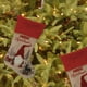 thumbnail image 5 of Ganfancp 2 Pcs Christmas Stockings New Set, Gnomos Santa Navidad Medias Personalizadas (18Inch) Suave Clásico Rojo y Chimenea Colgante para Familia Holiday Xmas Ofertas de La Semana 2 X Calcetines de, 5 of 6