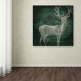 thumbnail image 4 of Trademark Fine Art "Emerald Deer" Canvas Art by Color Bakery, 4 of 4