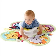 Disney Winnie The Pooh Garden Gym
