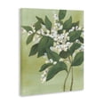 thumbnail image 2 of Stupell Industries French Country Verdant Branch Bloom Canvas Art, 16 x 20, by June Erica Vess, 2 of 8