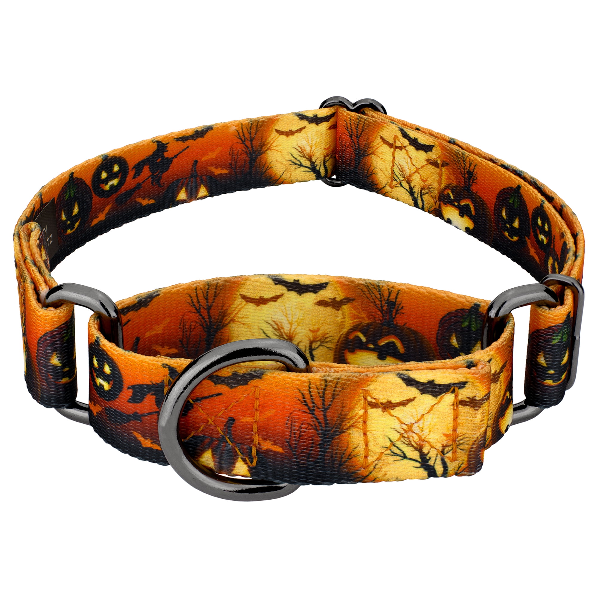 Country Brook Petz&reg; Midnight Fright Gunmetal Martingale Dog Collar Medium