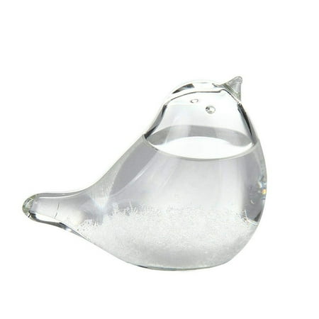 

BESTHUA Storm Glass Bird-Shape Glass Weather Forecaster Desktop Decor