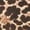 Animal Mocha, variant on Women's Casual Animal Printed Elastic High Waist Stretch Biker Shorts