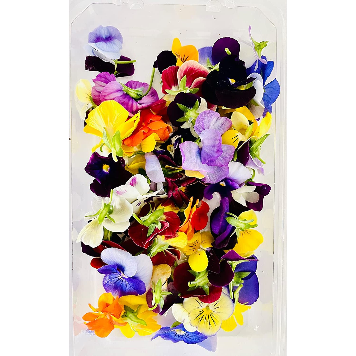 Kejora Edible Flower VIOLA 100 Count ( Pack of 2)