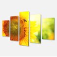 thumbnail image 2 of Sunflower Blooming on Field - Large Animal Canvas Art Print, 2 of 3
