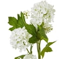 thumbnail image 3 of Hill Interiors Snowball Viburnum Artificial Flower Spray, 3 of 4