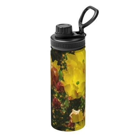 

Fuzoiu Cactus Flowers Print 18oz Sports Insulated Kettle Stainless Steel Vacuum Water Bottle Leakproof Sport Flask