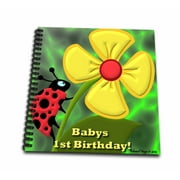3dRose Ladybug Babys 1st Birthday - Drawing Book, 8 by 8-inch