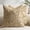 Sudan Brown, variant on SUSIELADY Pack of 2 Throw Pillow Covers 18x18, Boho Textured Chenille Decorative Pillow Covers with Dots and Stripes, Square Cushion Covers for Couch, Sofa, Bed, Farmhouse Home Decor, Beige