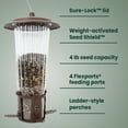 thumbnail image 3 of Perky-Pet Squirrel-Be-Gone Max Bird Feeder with Flexports, 4 lb Capacity, 3 of 12
