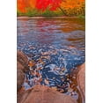 thumbnail image 2 of Jaynes Gallery 23x32 Black Ornate Wood Framed with Double Matting Museum Art Print Titled - Canada-Nova Scotia-Cape Breton Island North Aspy River and forest in autumn, 2 of 4