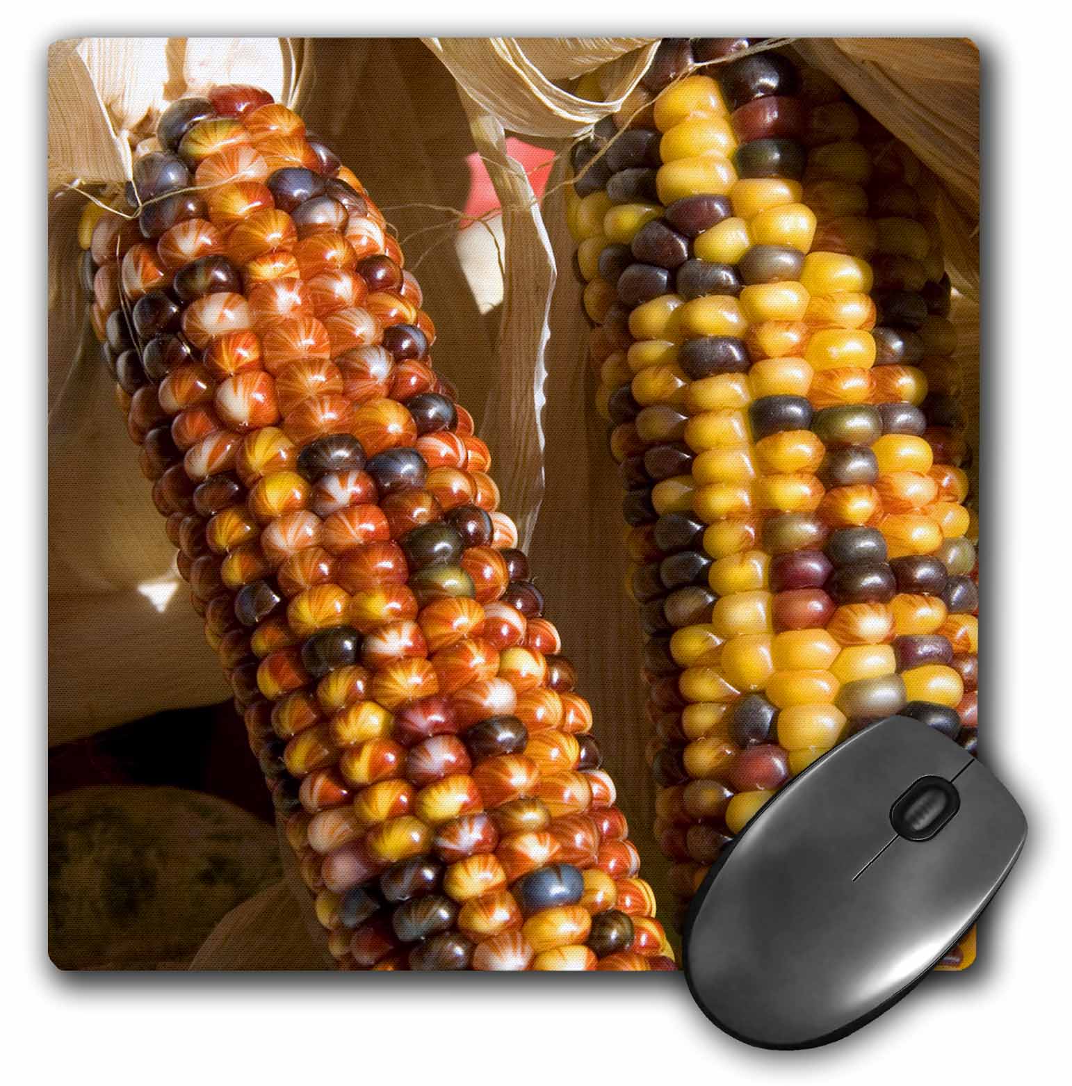 3dRose Indian corn at fruit stand, Fruitland, Idaho US13 DFR0776
