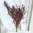 thumbnail image 2 of Dried Preserved Eucalyptus Stems Shower Bundle, Natural Dry Eucalyptus Bouquet , 17'' Eucalyptus Leaves Branches for Shower Vase Filler, Dried Flowers Arrangement Home Decor, Red, 20Pcs, 2 of 6