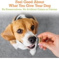 thumbnail image 4 of Riley's Tasty Apple Dog Biscuits - Organic & Crunchy Dog Treats for Small Dogs - Apple Treats for Training & Reward - (12oz, Small), 4 of 8