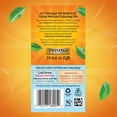 thumbnail image 5 of Twinings Cold Brewed Iced Tea Bags, Peach - Ready in 5 Minutes, Flavoured Black Tea Cold Brew Bags, Caffeinated, Unsweetened, 20 Count, 5 of 6