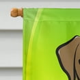 thumbnail image 3 of Carolines Treasures BB1978CHF Chocolate Labrador St. Patricks Day Canvas House Flag, 3 of 4