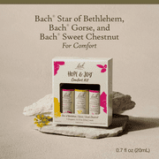 Bach Original Flower Remedies, Hope & Joy Kit