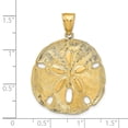 thumbnail image 3 of Real 14kt Yellow Gold Sand Dollar Pendant; for Adults and Teens; for Women and Men, 3 of 4