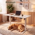 thumbnail image 7 of Furmax 48" x 24" Home Office Electric Height Adjustable Standing Desk, 7 of 7
