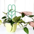 thumbnail image 3 of PENGXIANG 3PCS Plant Climbing Support For Garden Pot Trellis Leaf Trellis Green Mini Climbing Plant Pot, 3 of 8