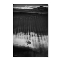 Peter Svoboda 'Rising Up' Canvas Art